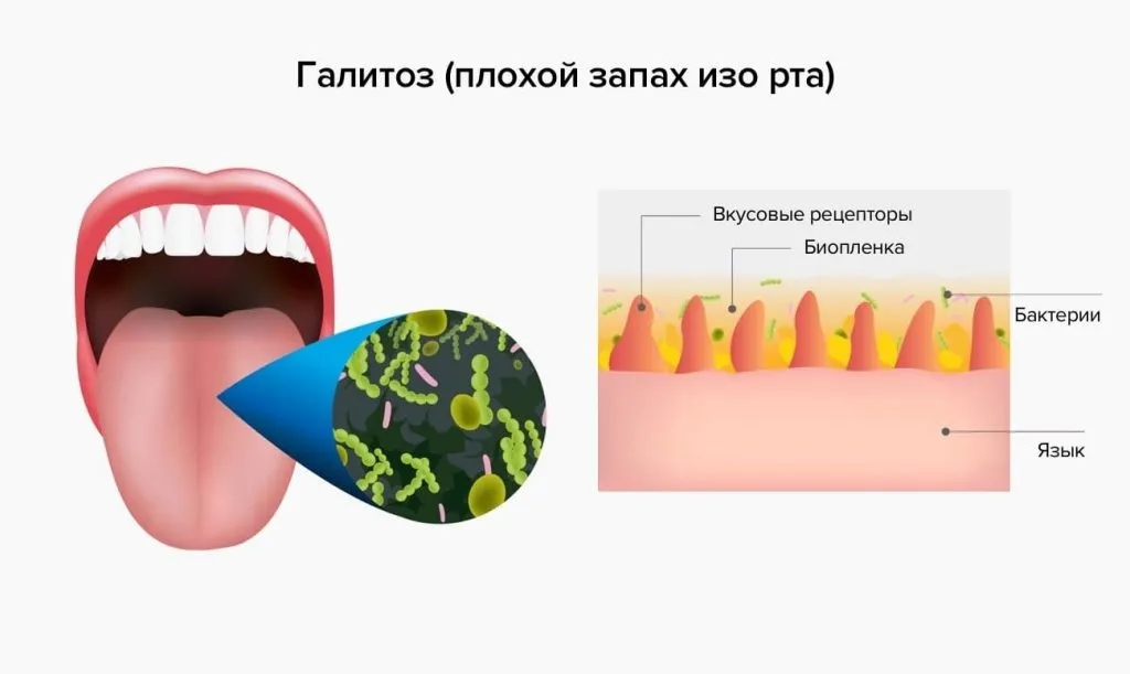 Detox care : kompozisyon sadece doğal maddeler.